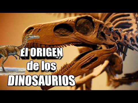 😳 Conoce el EXTRAORDINARIO ORIGEN de los DINOSAURIOS!!! 🦕🦖