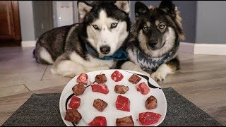 Raw or Cooked Beef? What Does A Husky Like To Eat?