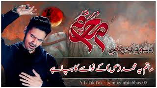 Matam Ya Muhammad S.a.w Ky Nawasa Ka Bapa Ha Ali Jee Noha Whatsapp Status Best Noha Status