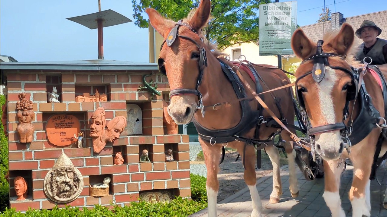Trip to Bernau City Library