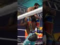 Steel Cage Carnage! #wwe2k24 #explore #steelcagematch #johnnygargano