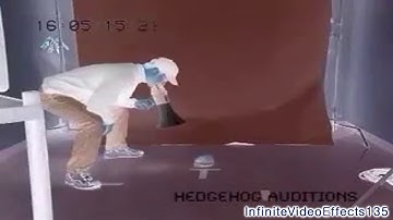 Why Does Hedgehog are Running in the 