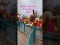 Slinky dog ride toy store land disneyland paris rollercoaster themepark disney robjp81