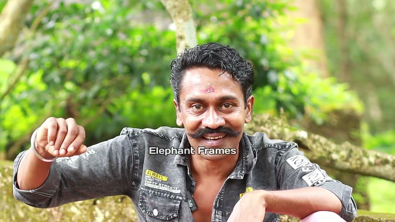 പൊന്നേട്ടന് ഇഷ്ടം ജോക്കറിനെ ഏത് ആളായാലും ആനയെ കെട്ടും /elephant frames/ഓണക്കൂർ  ശിവൻ