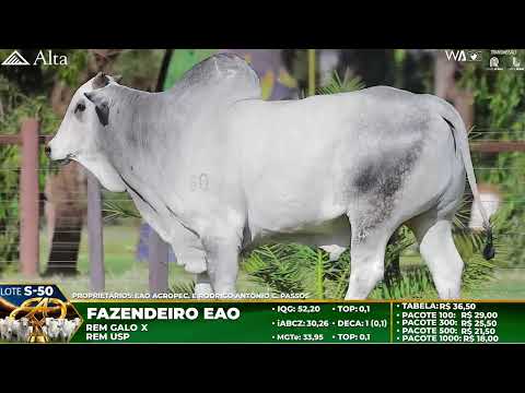 LOTE S50   FAZENDEIRO EAO   EAO B 9197