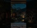 Gentle Rain & Lantern Light for Deep Relaxation 🥱😪#rainsounds #asmr #rain #peace #sleep