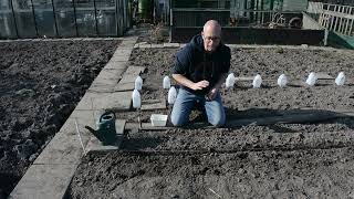 Update Van De Moestuin En Uien Poten