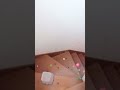 ASMR house stairs explosion