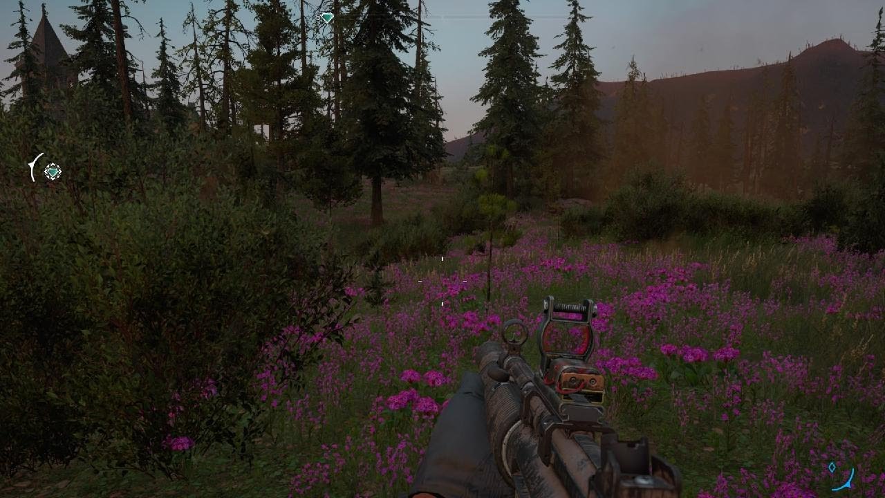 Far Cry New Dawn - Eagle Stuck In The Ground
