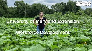 Extension's Workforce Development Internship