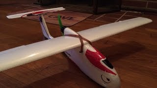 Mini SkyWalker Maiden Flight & Fast Fly By