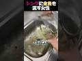 音源をクリックしないで...‼️⚠️
