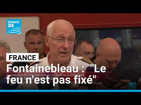 Incendies en forêt de Fontainebleau : "Le feu n'est pas fixé" • FRANCE 24