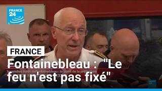 Incendies en forêt de Fontainebleau : "Le feu n'est pas fixé" • FRANCE 24