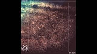 Dorian Gray - Nova Solaris I
