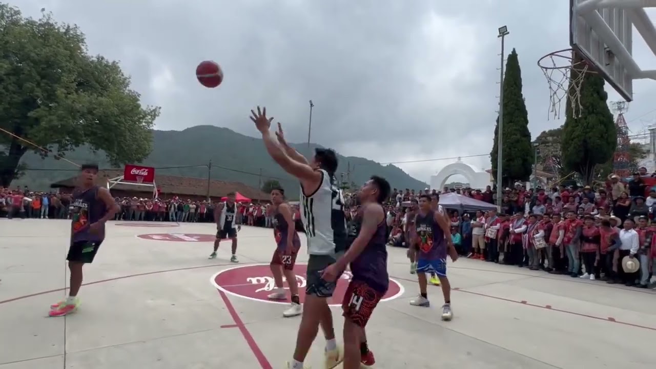 Final rafagas vs animales