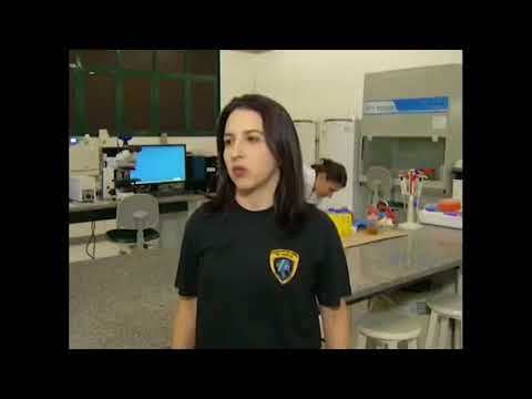 PALINOVIC | Jornal TVE Portal da Educativa