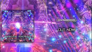 Digital Monkey: Omae Wa Mo Shindeiru