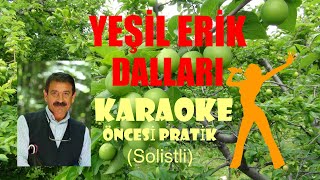 Nurettin Rençber - Yeşil Erik Dalları - Karaoke Öncesi Pratik