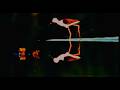 Woody Goss Ft Secret Bad Boy Black Winged Stilt Official Music Video 