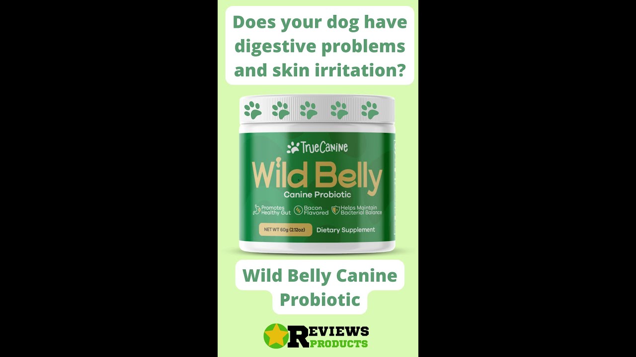 🟡🐕[BUY NOW]WILD BELLY CANINE PROBIOTIC REVIEW WILD BELLY DOG