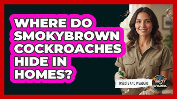 Where Do Smokybrown Cockroaches Hide In Homes?