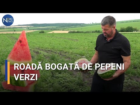 Video: Frezarea este Dispozitivul de frezare și descrierea procedurii