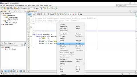003 - Java Netbeans for Information Practices +1 & +2 || Datatypes and Variables