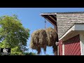 Forgotten Barn Tech! Horse Powered Hay Carrier Pulley System (Homestead History) ~ Rex Reviews