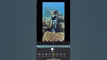 How to Edit the ILOG Profile of the Insta360 Ace Pro 2 #insta360 #freediving