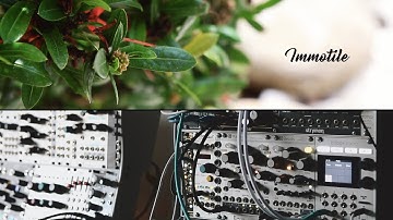 Immotile | Feat. Digitone, Arbhar, Keystep Pro, Magneto & Mutable Instruments Clouds & Beads.