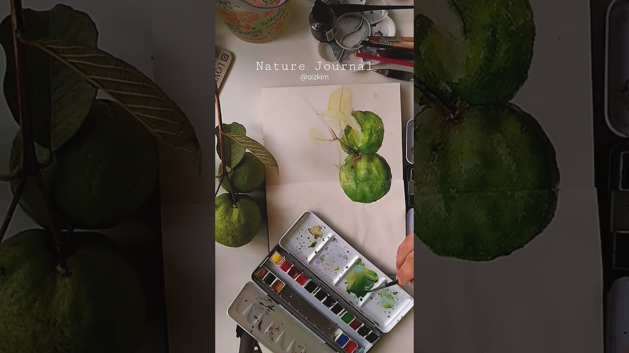 Nature Journal:Guava Fruit 