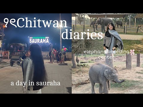 Chitwan diaries🌺: a day in sauraha and elephant breeding center🐘🌿 || road trip (day 2)
