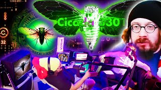 Sam Hyde and Nick Rochefort on The Girl Behind Cicada 3301!
