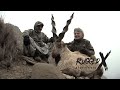 Suleiman Markhor Hunt with J. Alain Smith