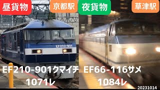 【雨の中、高速通過なのに弱く短い警笛のサメ】出演：クマイチさん、サメさん 1071レ EF210-901（京都駅） 1084レ EF66-116（草津駅） 20231014