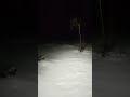 ❄️🔦 #pov #sweden #nature #hiking #snow #nordic #winter #explore #cold #dark #night #snow #outdoors