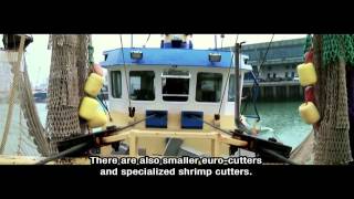 The Story of Dutch Fish - Men of the sea