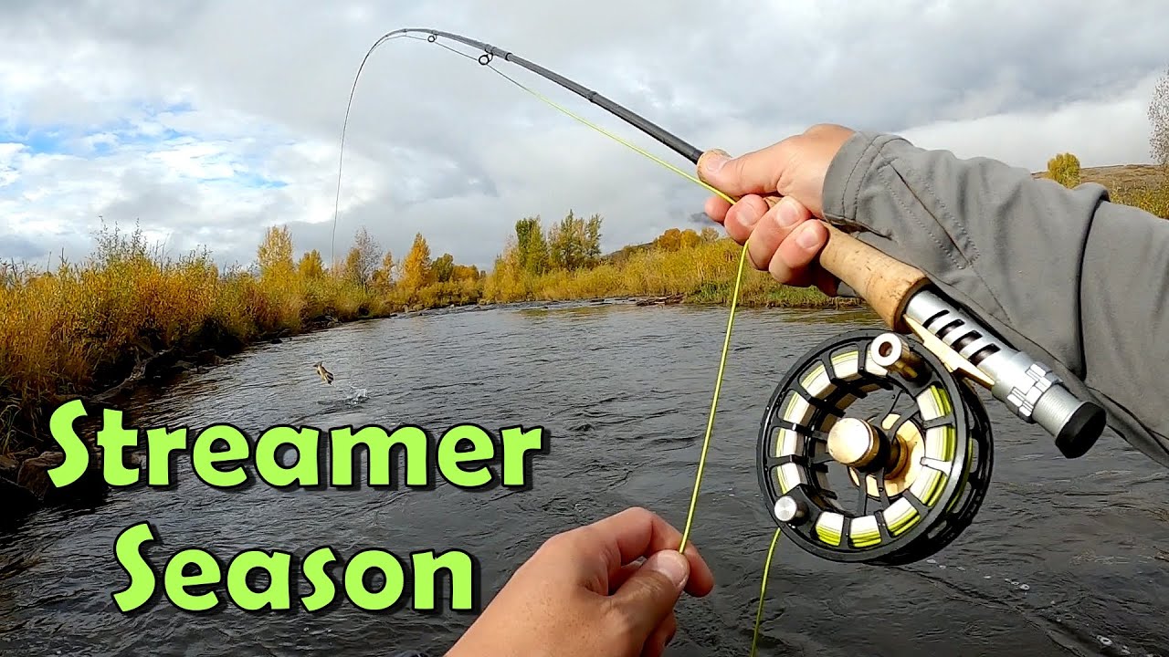 Октябрьские стримеры и нимфы на Среднем Прово