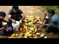 COCOA POD - How to Open & Eat a Cacao Pod - Fruity Fruits ...
