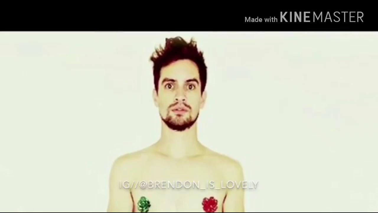 Just a Panic! At The Disco meme