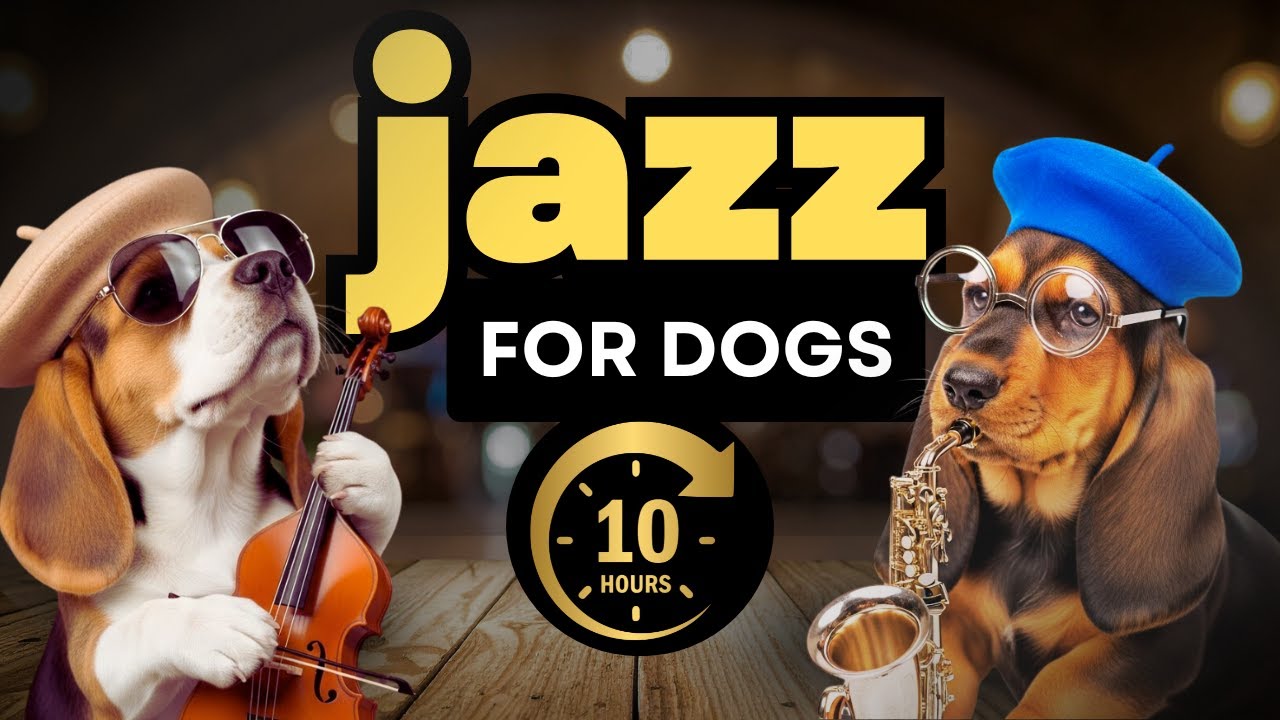Soothing Jazz Music for Dogs With Anxiety (10 Hours)
