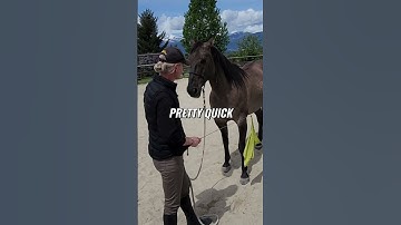 Boundary Setting: Courage Before Calm with Your Horse