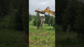 Dutchman Tree Tyer - Portage Tree Farms | #treenursery #treetransplanting