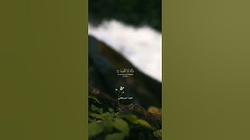 تلاوه جميله بصوت الشيخ ناصر القطامي ارح سمعك