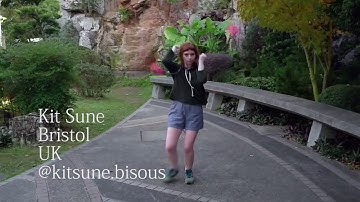 2018 PuppyHammer Collaboration Video