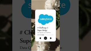 Superbadge Data Quality and Validation Challenge 4 Solution #salesforce #superbadge #sfdc