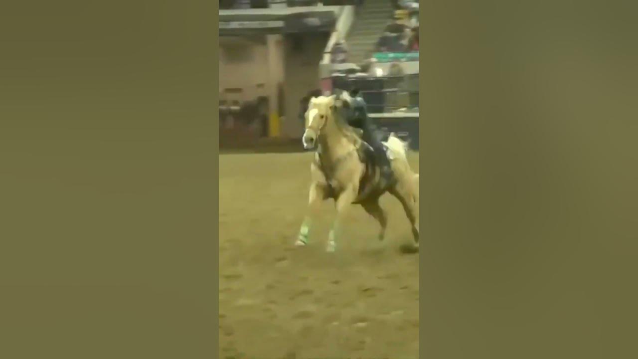 Hailey Kinsel 2024 Denver Arena Record 14.63 YouTube