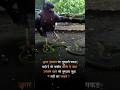 Aagar Halata Par Thumari Pakad Shai He Too#shortvideo #lyrics #whatsappstatus #viralvideo