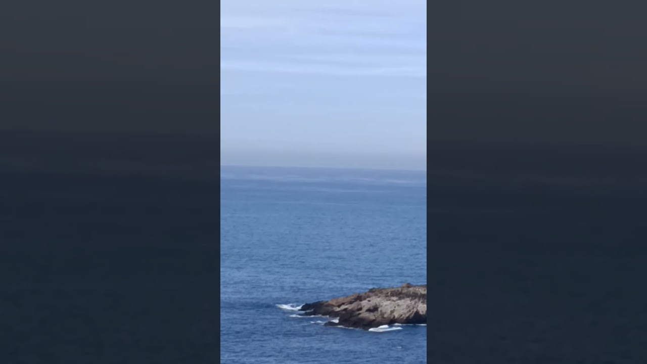 مفاهيم عميقة من دورة بوزون